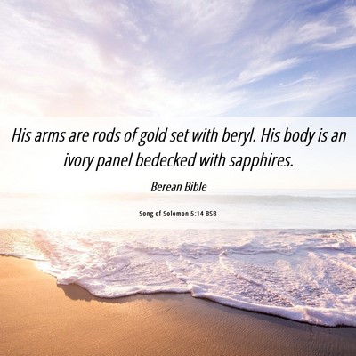 Picture 06 - Song of Solomon 5:14 BSB - His arms are rods of gold set with beryl. His - Bible Verse Picture