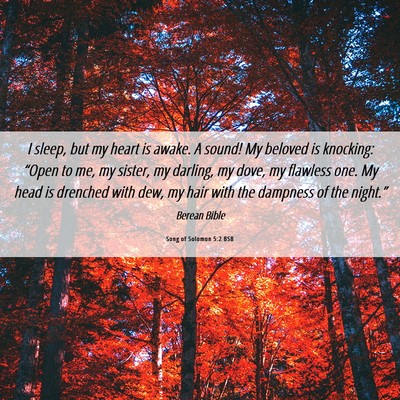 Picture 06 - Song of Solomon 5:2 BSB - I sleep, but my heart is awake. A sound! My - Bible Verse Picture