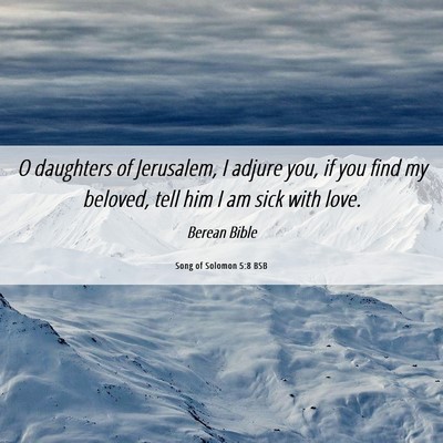 Picture 06 - Song of Solomon 5:8 BSB - O daughters of Jerusalem, I adjure you, if you - Bible Verse Picture