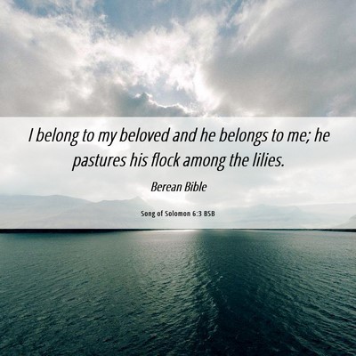 Picture 06 - Song of Solomon 6:3 BSB - I belong to my beloved and he belongs to me; he - Bible Verse Picture