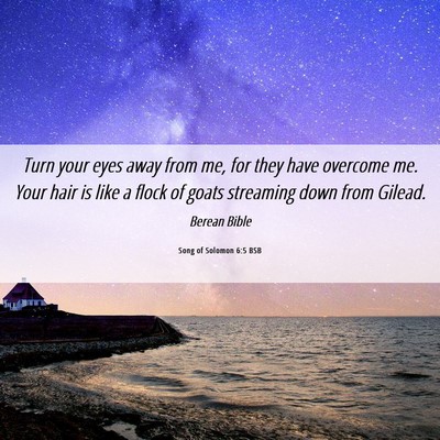Picture 06 - Song of Solomon 6:5 BSB - Turn your eyes away from me, for they have - Bible Verse Picture