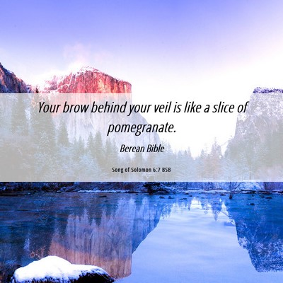 Picture 06 - Song of Solomon 6:7 BSB - Your brow behind your veil is like a slice of - Bible Verse Picture