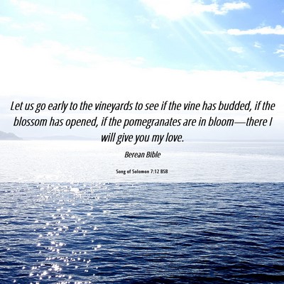 Picture 06 - Song of Solomon 7:12 BSB - Let us go early to the vineyards to see if the - Bible Verse Picture