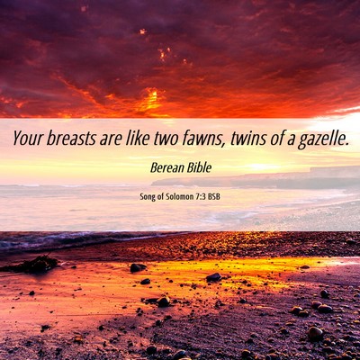 Picture 06 - Song of Solomon 7:3 BSB - Your breasts are like two fawns, twins of a - Bible Verse Picture