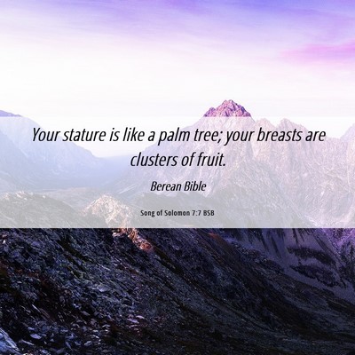 Picture 06 - Song of Solomon 7:7 BSB - Your stature is like a palm tree; your breasts - Bible Verse Picture