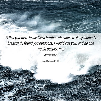 Picture 06 - Song of Solomon 8:1 BSB - O that you were to me like a brother who nursed - Bible Verse Picture