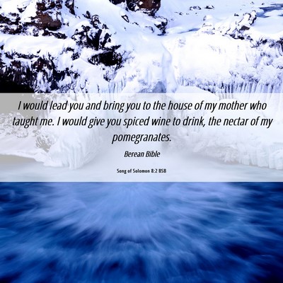 Picture 06 - Song of Solomon 8:2 BSB - I would lead you and bring you to the house of my - Bible Verse Picture