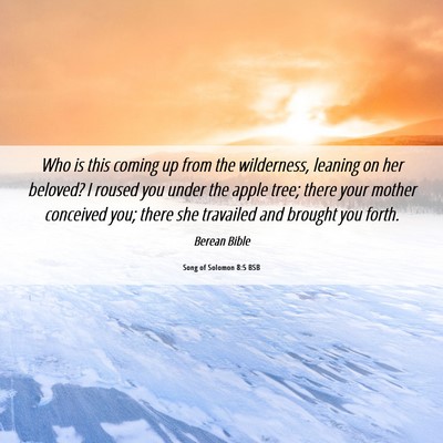 Picture 06 - Song of Solomon 8:5 BSB - Who is this coming up from the wilderness, - Bible Verse Picture