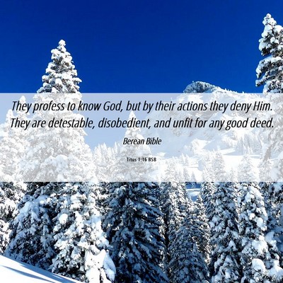 Picture 06 - Titus 1:16 BSB - They profess to know God, but by their actions - Bible Verse Picture
