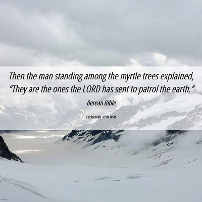 Picture 06 - Zechariah 1:10 BSB - Then the man standing among the myrtle trees - Bible Verse Picture