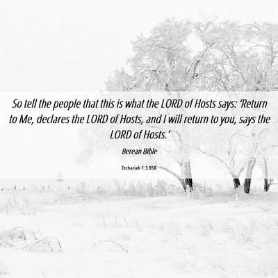 Picture 06 - Zechariah 1:3 BSB - So tell the people that this is what the LORD of - Bible Verse Picture