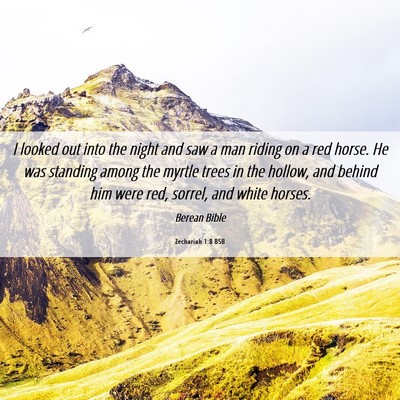 Picture 06 - Zechariah 1:8 BSB - I looked out into the night and saw a man riding - Bible Verse Picture