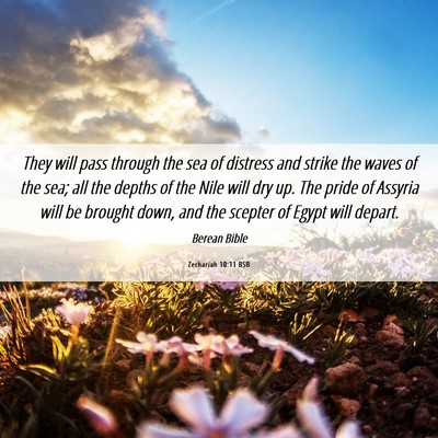 Picture 06 - Zechariah 10:11 BSB - They will pass through the sea of distress and - Bible Verse Picture