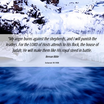 Picture 06 - Zechariah 10:3 BSB - “My anger burns against the shepherds, and I - Bible Verse Picture