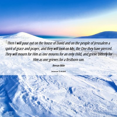 Picture 06 - Zechariah 12:10 BSB - Then I will pour out on the house of David and on - Bible Verse Picture