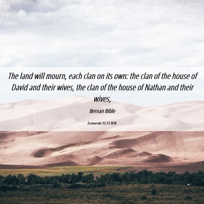Picture 06 - Zechariah 12:12 BSB - The land will mourn, each clan on its own: the - Bible Verse Picture