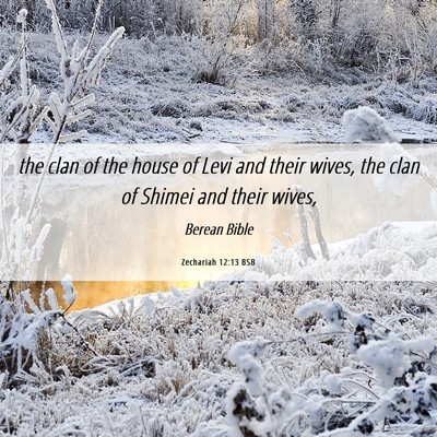 Picture 06 - Zechariah 12:13 BSB - the clan of the house of Levi and their wives, - Bible Verse Picture
