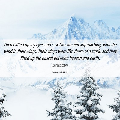 Picture 06 - Zechariah 5:9 BSB - Then I lifted up my eyes and saw two women - Bible Verse Picture