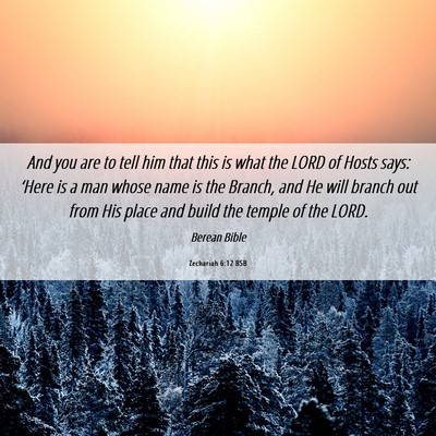 Picture 06 - Zechariah 6:12 BSB - And you are to tell him that this is what the - Bible Verse Picture
