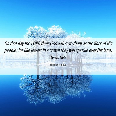 Picture 06 - Zechariah 9:16 BSB - On that day the LORD their God will save them as - Bible Verse Picture