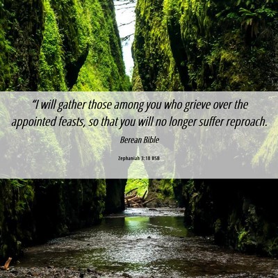Picture 06 - Zephaniah 3:18 BSB - “I will gather those among you who grieve over - Bible Verse Picture