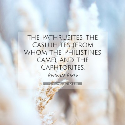Picture 07 - 1 Chronicles 1:12 BSB - the Pathrusites, the Casluhites (from whom the - Bible Verse Picture