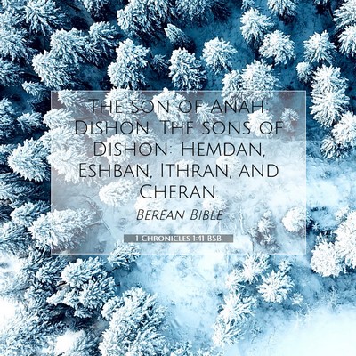 Picture 07 - 1 Chronicles 1:41 BSB - The son of Anah: Dishon. The sons of Dishon: - Bible Verse Picture