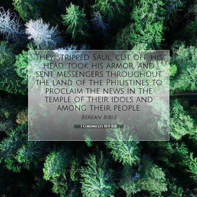 Picture 07 - 1 Chronicles 10:9 BSB - They stripped Saul, cut off his head, took his - Bible Verse Picture