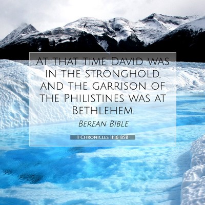 Picture 07 - 1 Chronicles 11:16 BSB - At that time David was in the stronghold, and the - Bible Verse Picture