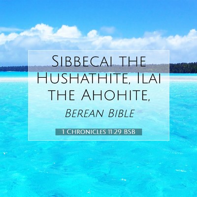 Picture 07 - 1 Chronicles 11:29 BSB - Sibbecai the Hushathite, Ilai the - Bible Verse Picture