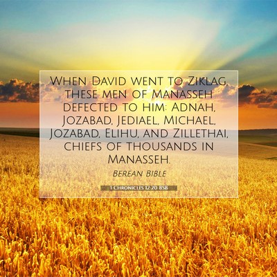 Picture 07 - 1 Chronicles 12:20 BSB - When David went to Ziklag, these men of Manasseh - Bible Verse Picture