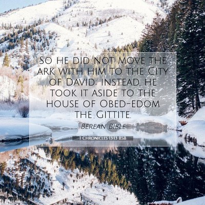 Picture 07 - 1 Chronicles 13:13 BSB - So he did not move the ark with him to the City - Bible Verse Picture