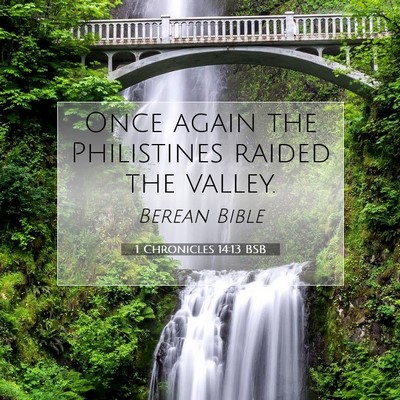 Picture 07 - 1 Chronicles 14:13 BSB - Once again the Philistines raided the - Bible Verse Picture