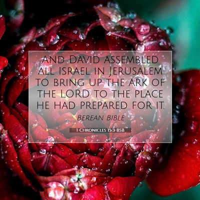 Picture 07 - 1 Chronicles 15:3 BSB - And David assembled all Israel in Jerusalem to - Bible Verse Picture