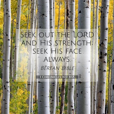 Picture 07 - 1 Chronicles 16:11 BSB - Seek out the LORD and His strength; seek His face - Bible Verse Picture
