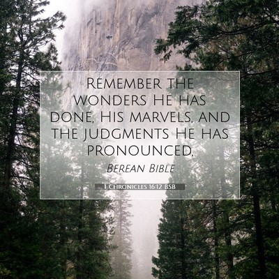 Picture 07 - 1 Chronicles 16:12 BSB - Remember the wonders He has done, His marvels, - Bible Verse Picture