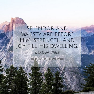 Picture 07 - 1 Chronicles 16:27 BSB - Splendor and majesty are before Him; strength and - Bible Verse Picture