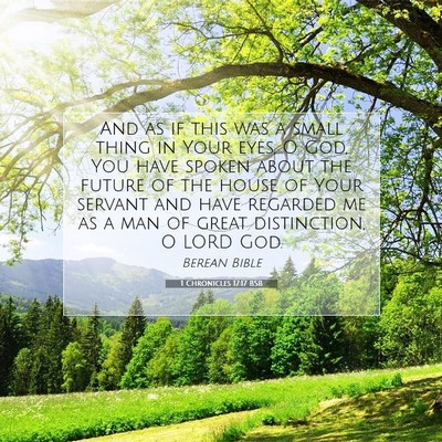 Picture 07 - 1 Chronicles 17:17 BSB - And as if this was a small thing in Your eyes, O - Bible Verse Picture