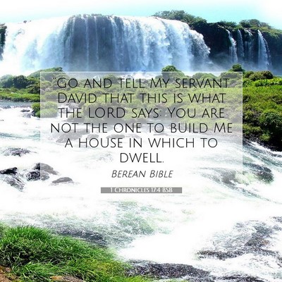Picture 07 - 1 Chronicles 17:4 BSB - “Go and tell My servant David that this is what - Bible Verse Picture