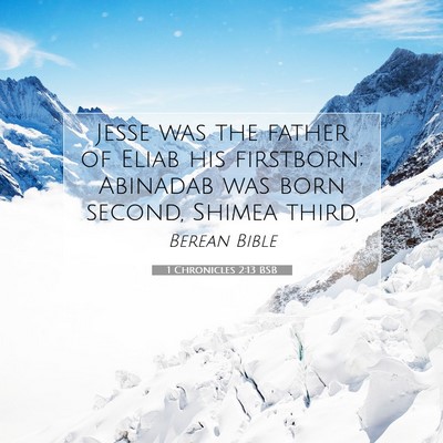 Picture 07 - 1 Chronicles 2:13 BSB - Jesse was the father of Eliab his firstborn; - Bible Verse Picture