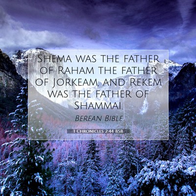 Picture 07 - 1 Chronicles 2:44 BSB - Shema was the father of Raham the father of - Bible Verse Picture