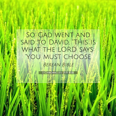 Picture 07 - 1 Chronicles 21:11 BSB - So Gad went and said to David, “This is what - Bible Verse Picture