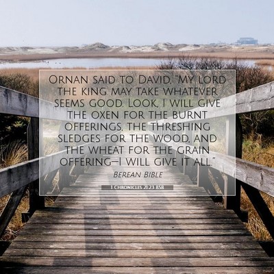 Picture 07 - 1 Chronicles 21:23 BSB - Ornan said to David, “My lord the king may take - Bible Verse Picture
