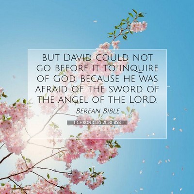 Picture 07 - 1 Chronicles 21:30 BSB - but David could not go before it to inquire of - Bible Verse Picture