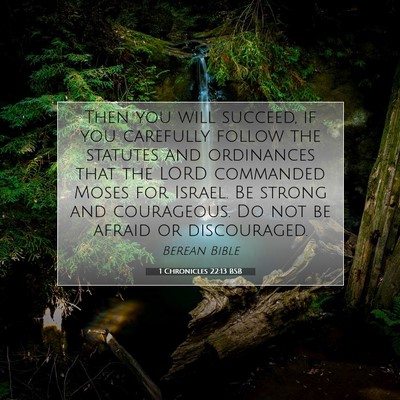 Picture 07 - 1 Chronicles 22:13 BSB - Then you will succeed, if you carefully follow - Bible Verse Picture