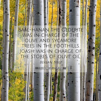 Picture 07 - 1 Chronicles 27:28 BSB - Baal-hanan the Gederite was in charge of the - Bible Verse Picture
