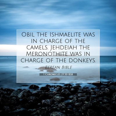 Picture 07 - 1 Chronicles 27:30 BSB - Obil the Ishmaelite was in charge of the camels. - Bible Verse Picture