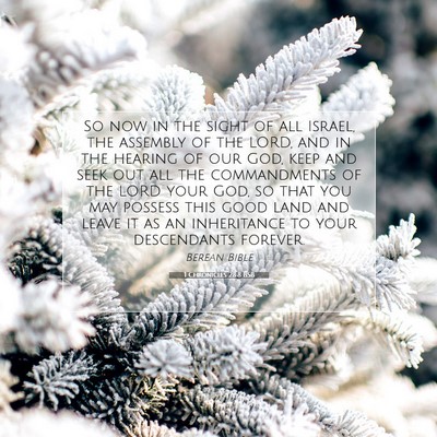 Picture 07 - 1 Chronicles 28:8 BSB - So now in the sight of all Israel, the assembly - Bible Verse Picture