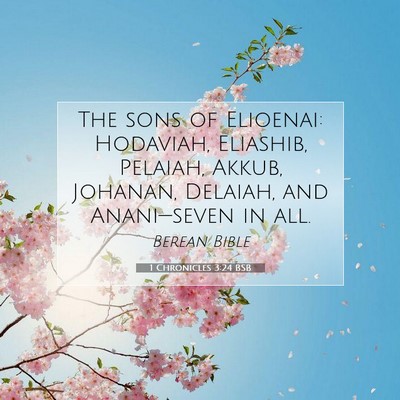 Picture 07 - 1 Chronicles 3:24 BSB - The sons of Elioenai: Hodaviah, Eliashib, - Bible Verse Picture