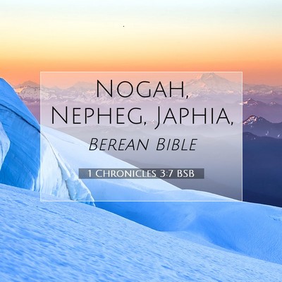 Picture 07 - 1 Chronicles 3:7 BSB - Nogah, Nepheg, - Bible Verse Picture